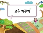 고추 가꾸기