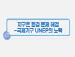 지구촌 환경 문제 해결-국제 기구 UNEP