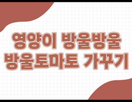5-2(40쪽-방울토마토가꾸기)