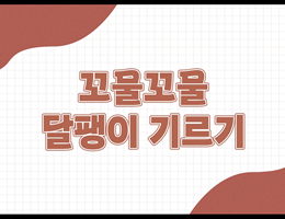 5-2(38쪽-달팽이기르기)
