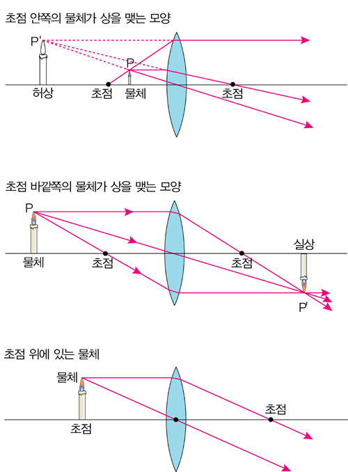 금성출판사 티칭백과