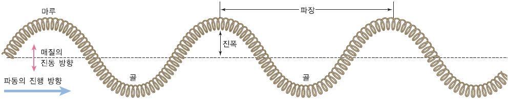 금성출판사 :: 티칭백과