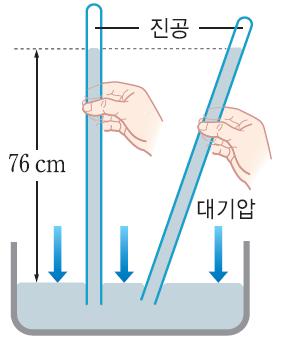 금성출판사 :: 티칭백과