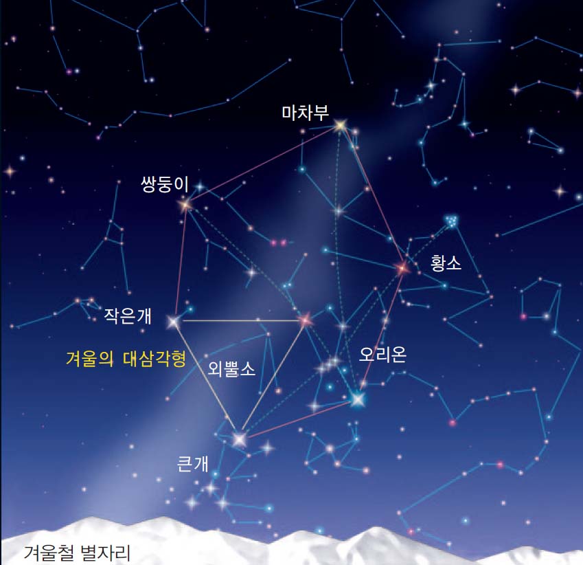 금성출판사 :: 티칭백과