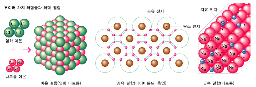 금성출판사 :: 티칭백과