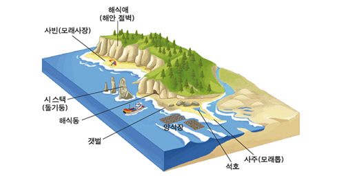 금성출판사 :: 티칭백과