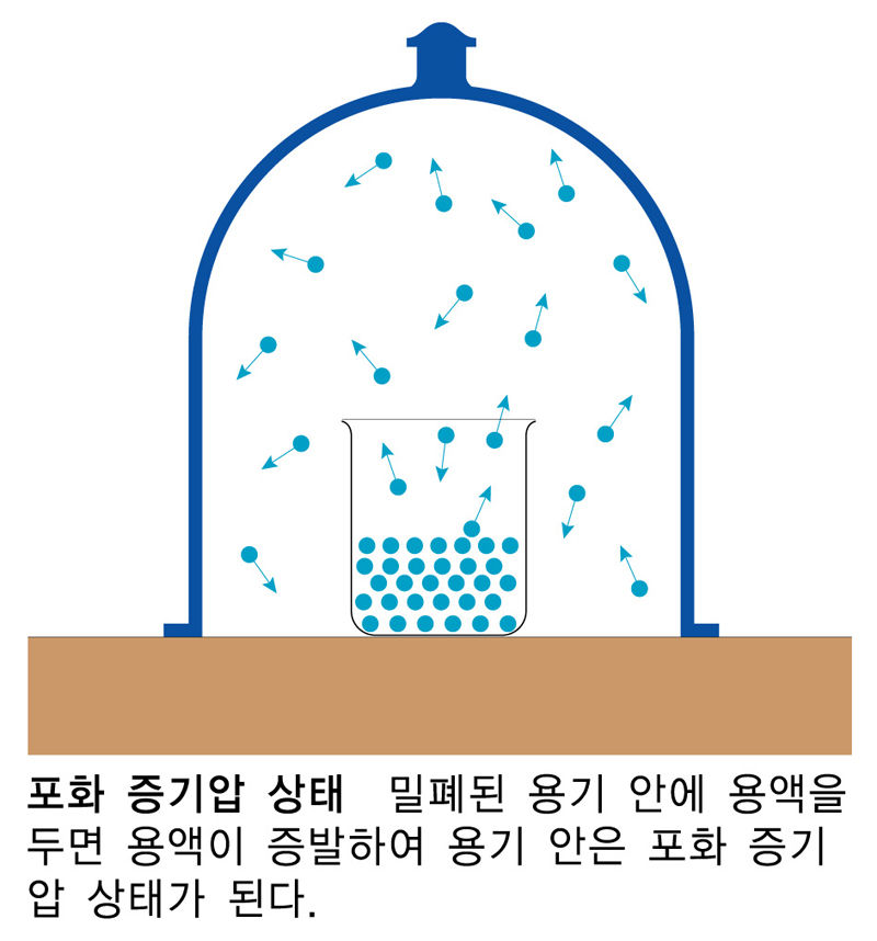 금성출판사 :: 티칭백과