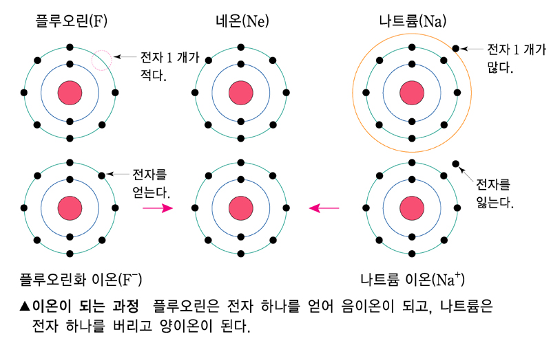 금성출판사 :: 티칭백과