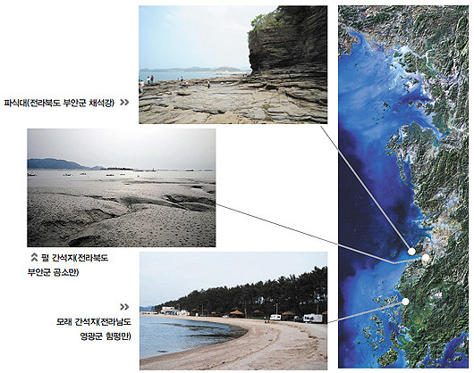 금성출판사 :: 티칭백과