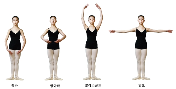 금성출판사 :: 티칭백과